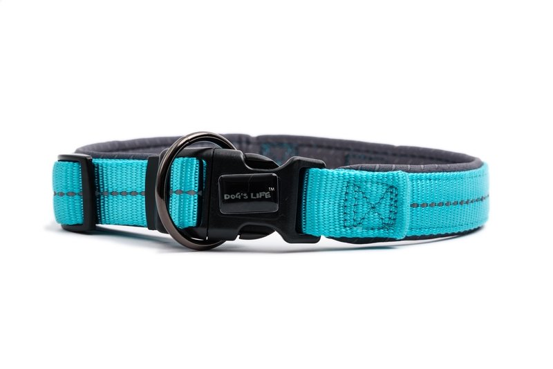 Reflective Supersoft Webbing Neoprene Collar Turquoise