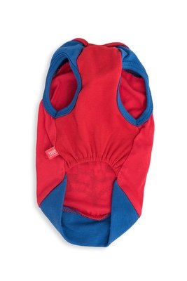 The Amazing Spidy Dog Tee Red