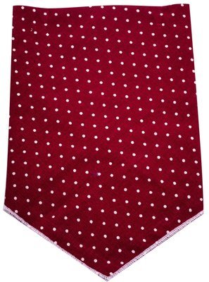 Dog&#39;s Life Polkadot Bandana Red