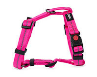 Reflective Supersoft Webbing H Harness Hot Pink