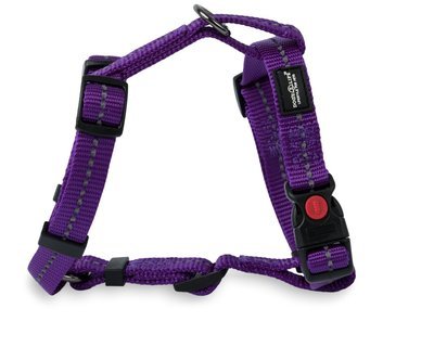 Reflective Supersoft Webbing H Harness Purple