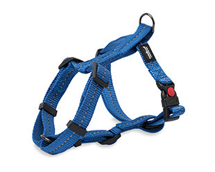 Reflective Supersoft Webbing H Harness Yale Blue