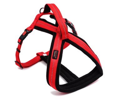 Outdoors &amp; Adventure Harness With Handle Red