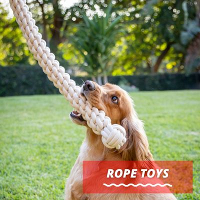 Rope Toys
