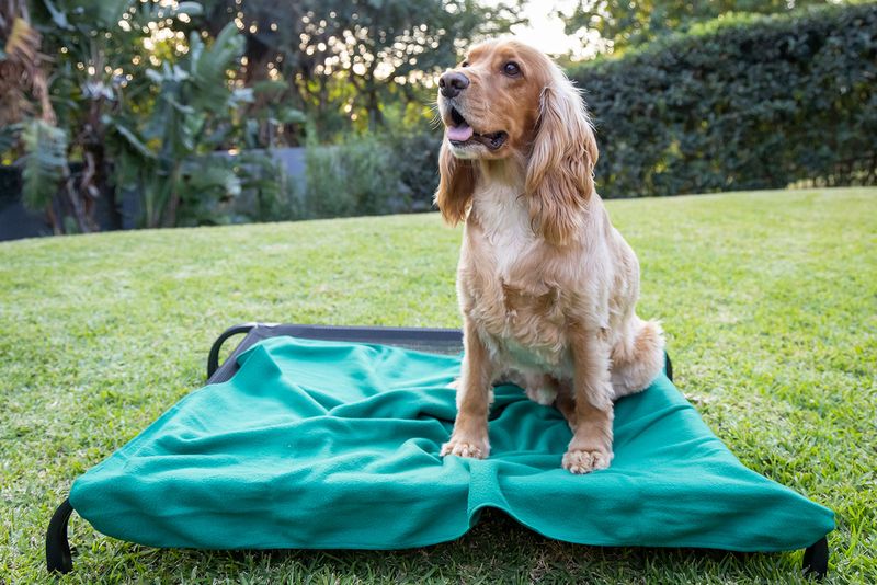 Polar Fleece Blanket Green