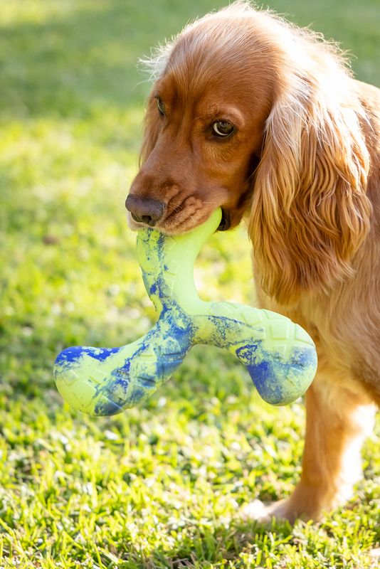 Dog's Life Tuff Foam Flyer Lime