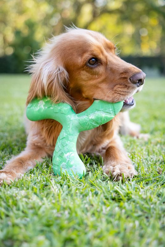 Dog's Life Tuff Foam Flyer Green