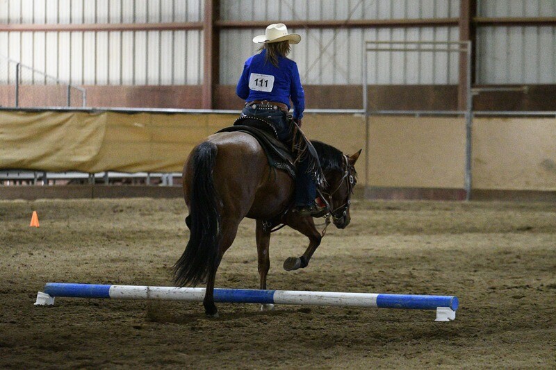 APRIL 25th OBSTACLE TRAIL CHALLENGE – Orangevale Park Arena (rain date May 2nd).  Entry fee: $10 to $30 (this fee includes a grounds fee where applicable; the $14 CA Equine Drug Fee is NOT required)