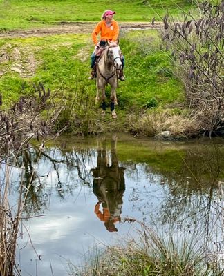 MAY 16th - 17th: COMPETITIVE JUDGED TRAIL RIDE at Spenceville Wildlife Area