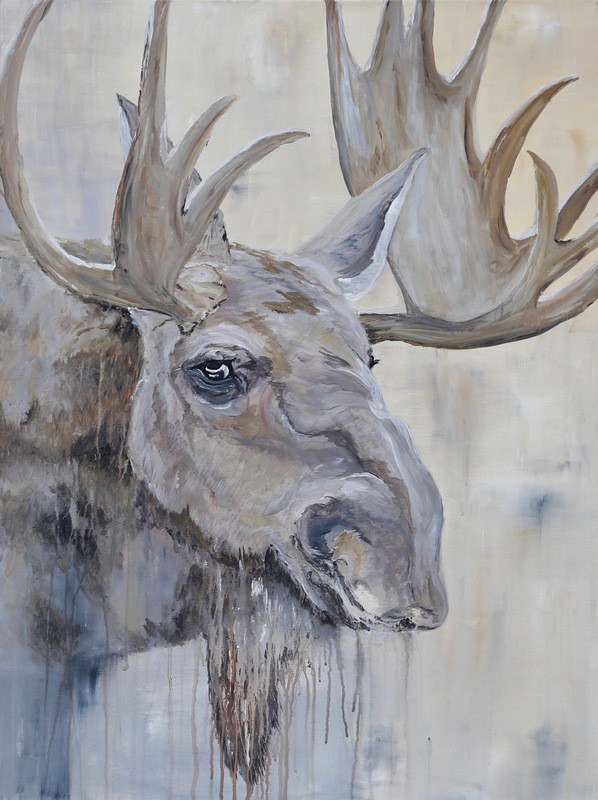 Moose - Pacific Northwest Series.