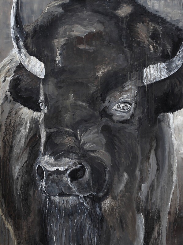 Bison