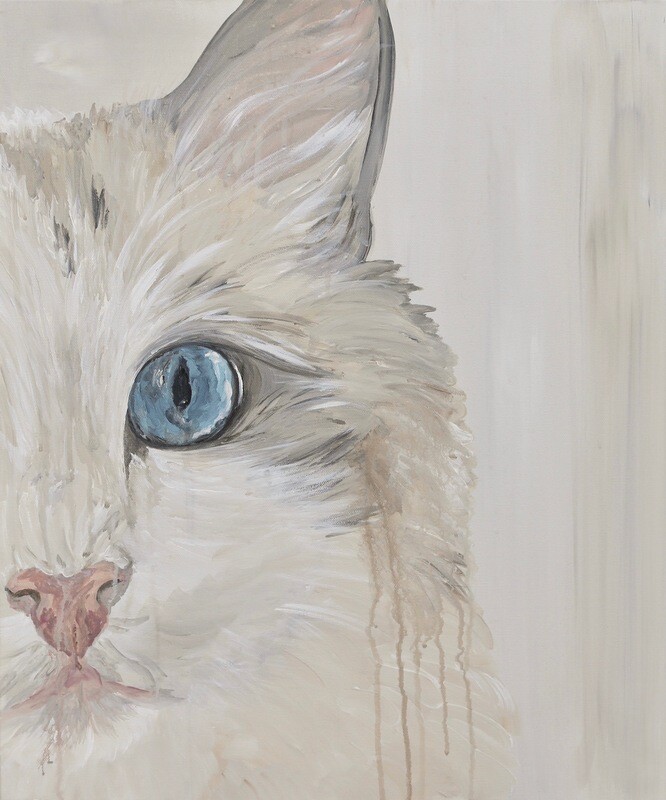 &quot;Solo&quot; - Pet Life Series