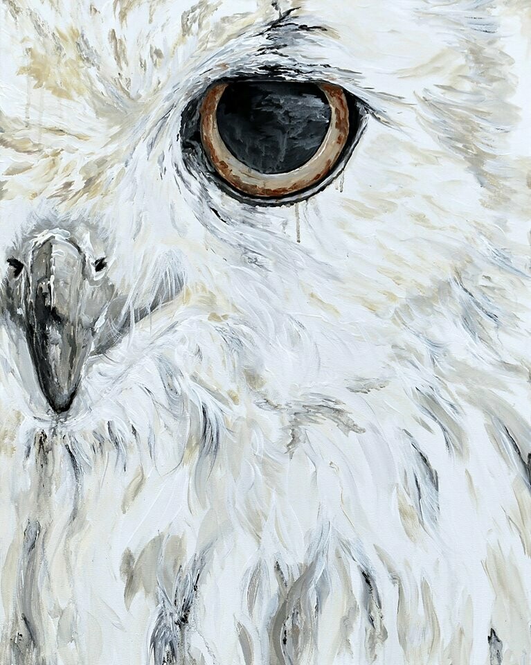 White Owl - Pacific Northwest Series.