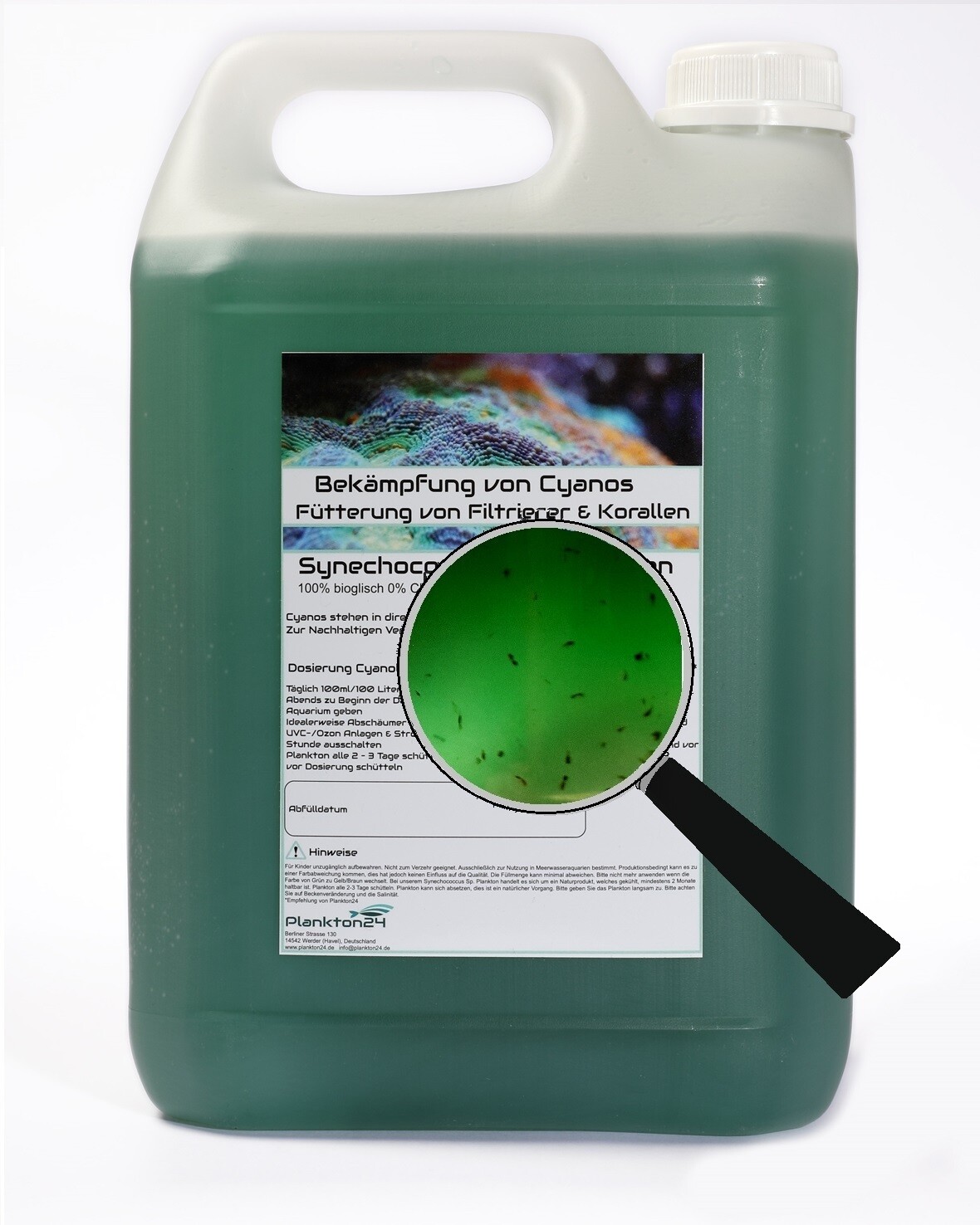 12 Wochen ABO Synechococcus Sp. gegen Cyanos 5 Liter mit Zooplankton wöchentliche Lieferung