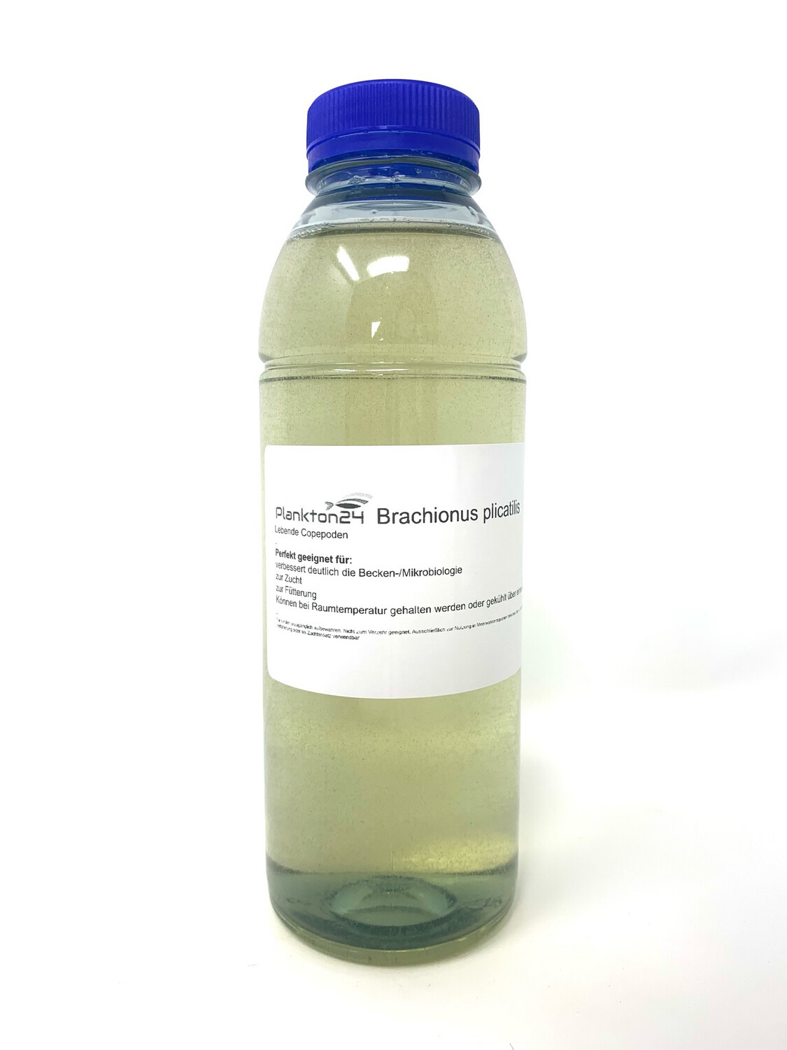 Brachionus - Marine Rädertierchen - Lebende Copepoden ( 0,5 Liter, 1 Liter )