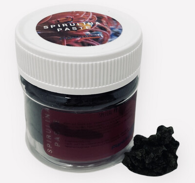 Plankton24 SPIRULINA PASTE Spezialfutter 50ml - klebt auf Steine oder Scheibe
