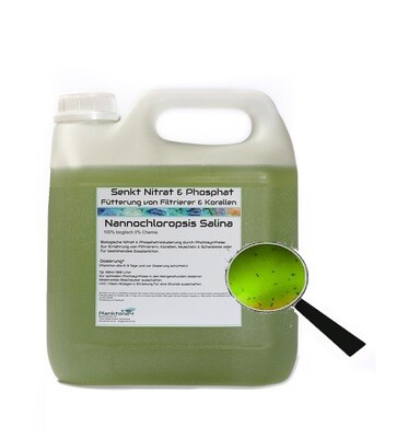 4 Wochen Abo - Nannochloropsis zur Senkung von Phosphat und Nitrat in 3000ml mit einem Schuss Zooplankton - wöchentliche Lieferung
