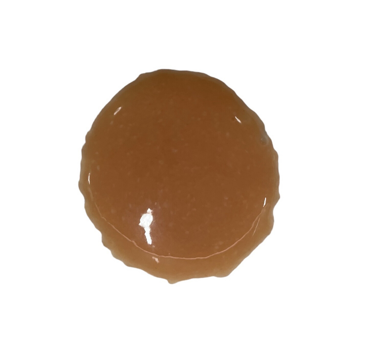 Plankton24 LPS SOFT Plankton Liquid Zooplankton - Premium Futter - Weichkorallen