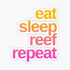 Sticker - Eat-Sleep-Reef - Merchandise