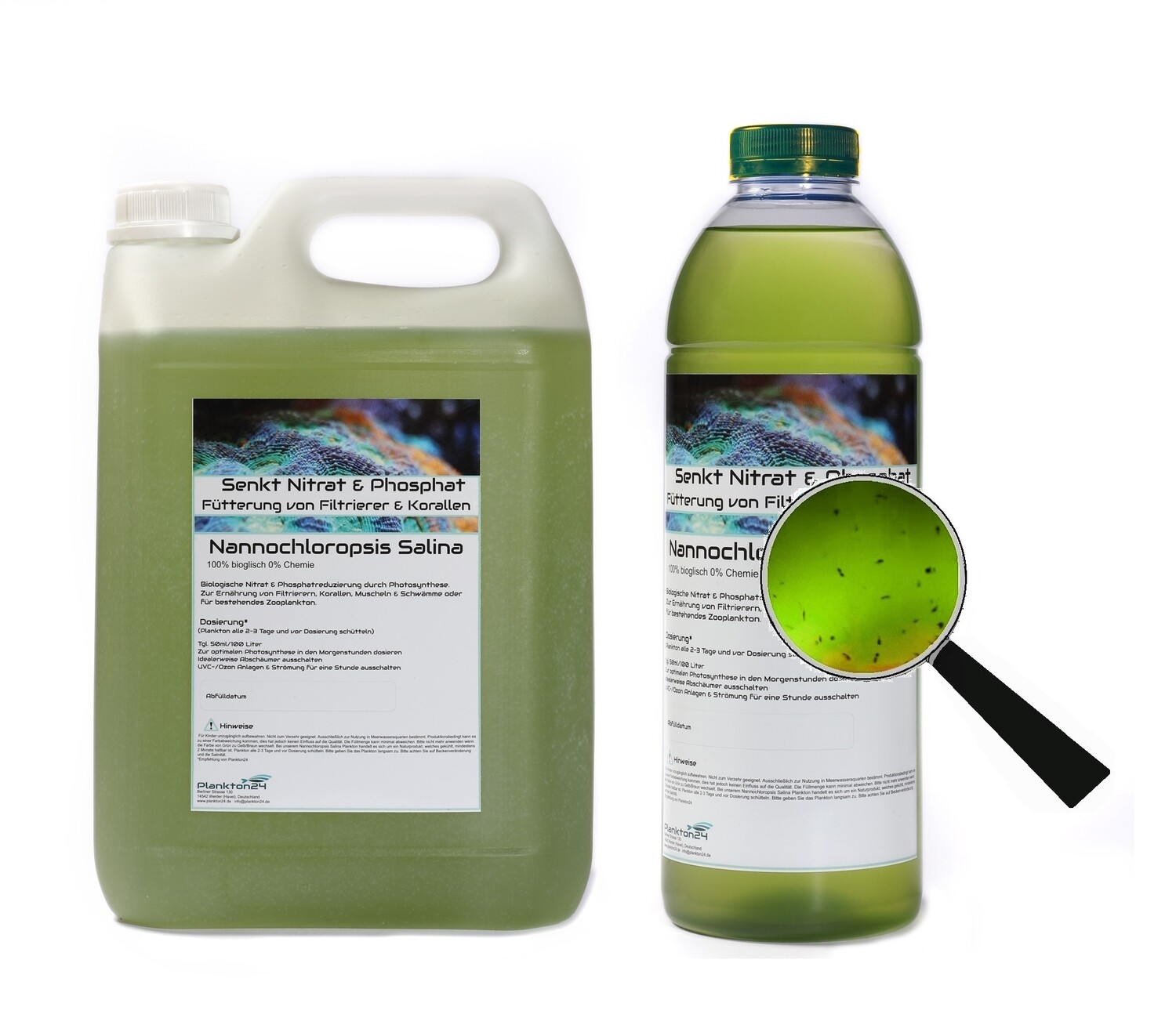 Nannochloropsis salina mit Zooplankton  (  0,5 Liter, 1 Liter, 3 Liter, 5 Liter , 10 Liter )