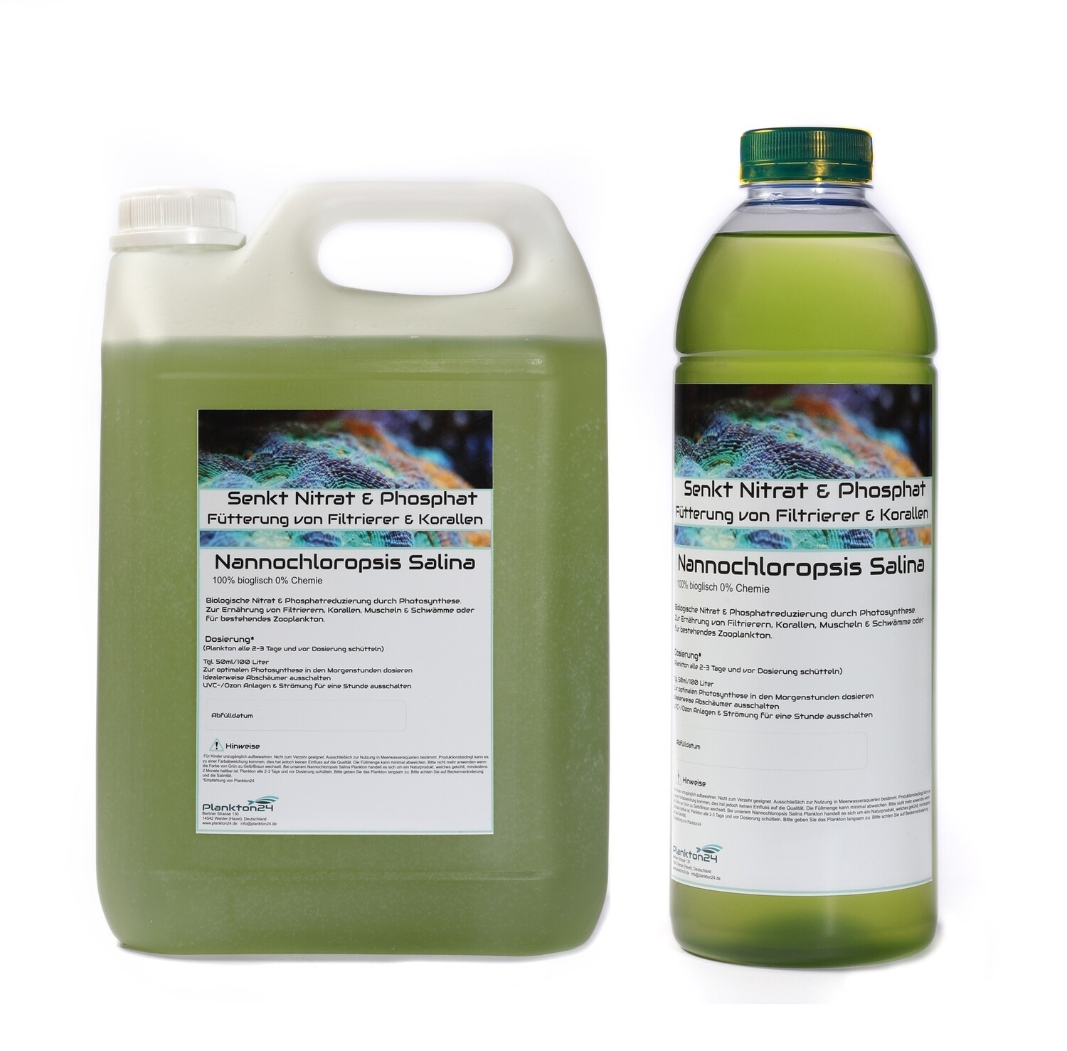 Nannochloropsis salina zur Senkung von Nitrat und Phosphat  ( 0,5 Liter, 1 Liter, 3 Liter, 5 Liter , 10 Liter )