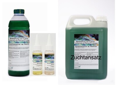 Zuchtansatz - Synechococcus wahlweise mit Dünger ( 1 Liter, 3 Liter, 5 Liter, 10 Liter )