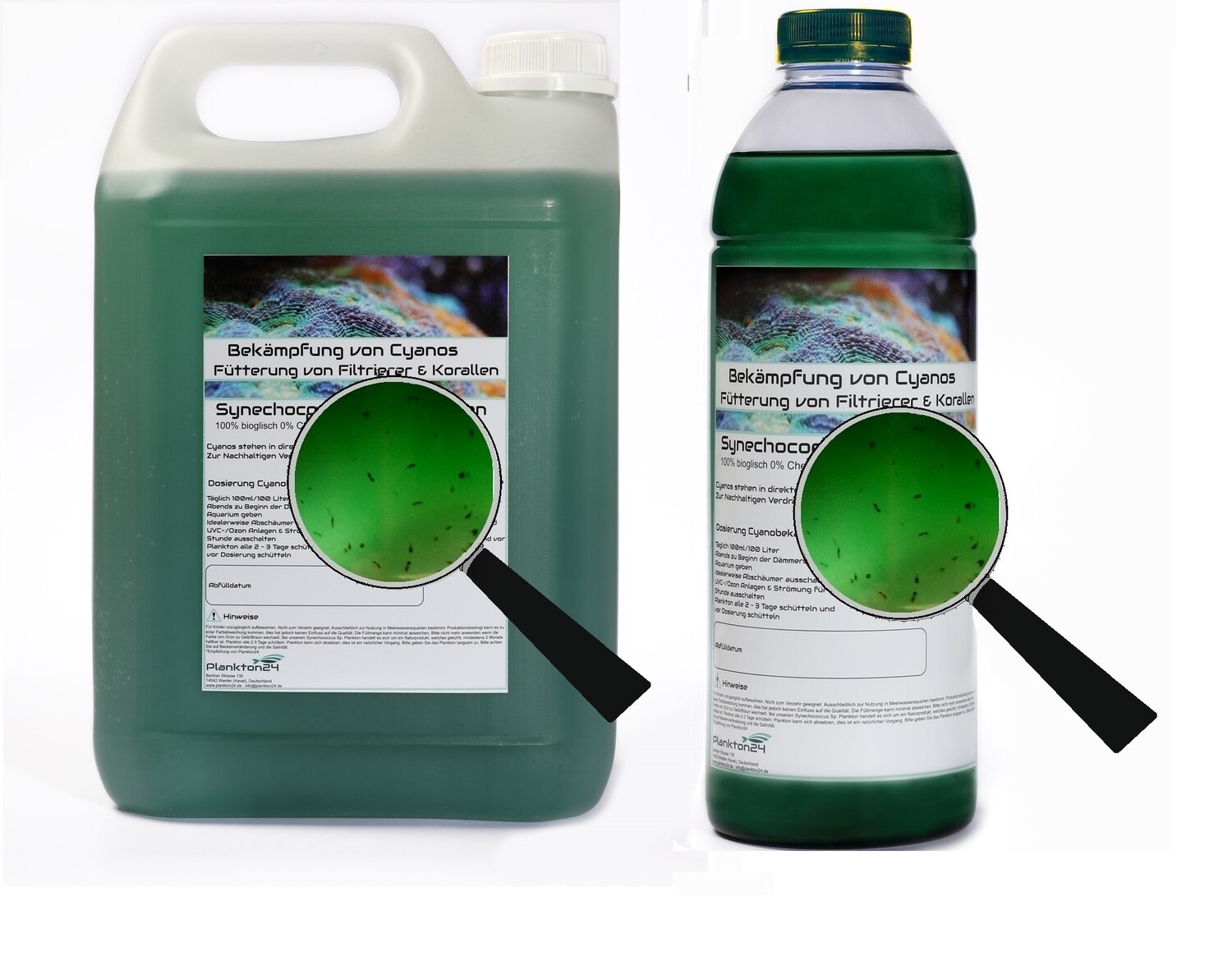 Synechococcus Sp. gegen Cyanobeläge mit Zooplankton ( 0,5 Liter, 1 Liter, 3 Liter, 5 Liter , 10 Liter )