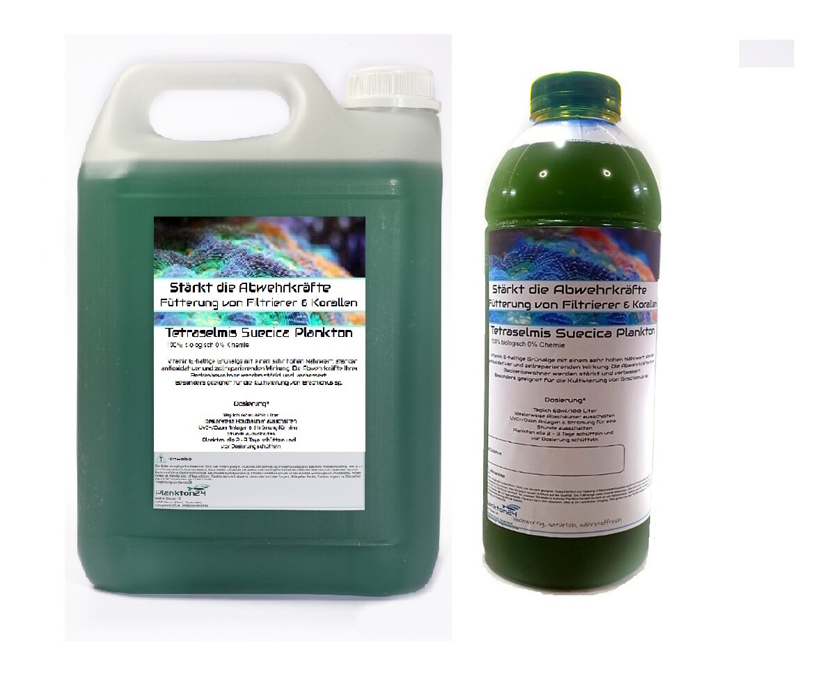Tetraselmis Suecica Plankton - Stärkt und verbessert Abwehrkräfte  ( 0,5 Liter, 1 Liter, 3 Liter, 5 Liter , 10 Liter )