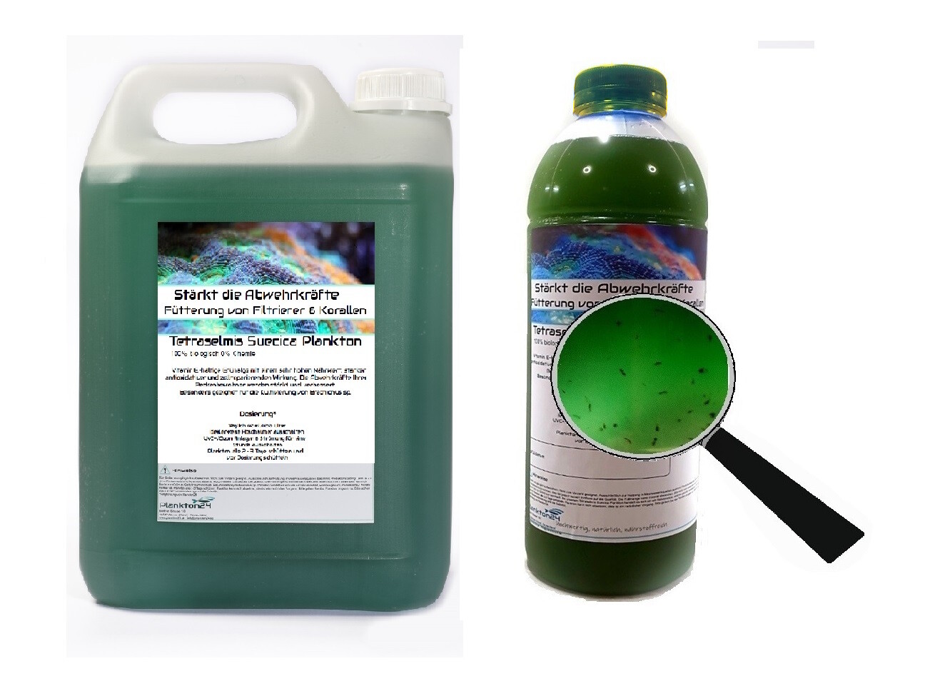 Tetraselmis Suecica Plankton mit Zooplankton - Stärkt und verbessert Abwehrkräfte  ( 0,5 Liter, 1 Liter, 3 Liter, 5 Liter , 10 Liter )