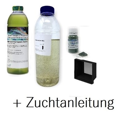 Zuchtansatz - Zooplankton / Copepodenzucht Set mit Zuchtanleitung