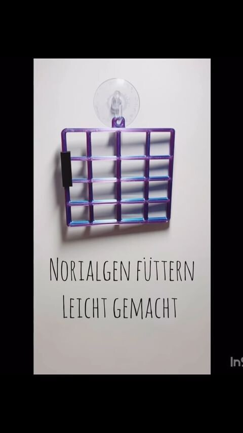- Plankton24 Nori-Algen-Halter - zur einfachen Fütterung