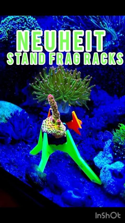 - Plankton24 Stand Frag Racks mit Ablegerstein
