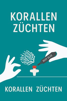 Korallen züchten