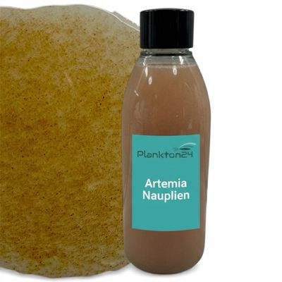 Plankton24 Liquid Artemia Nauplien - Hochwertiges Premiumfutter