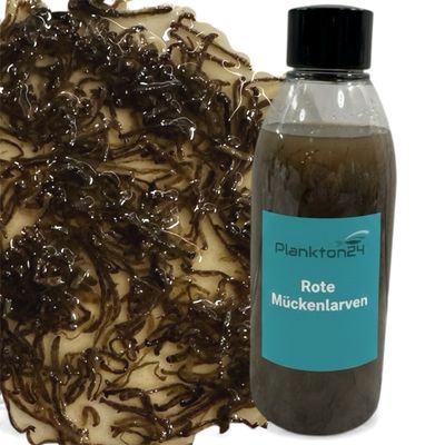 Plankton24 Rote Mückenlarven - Hochwertiges Premiumfutter