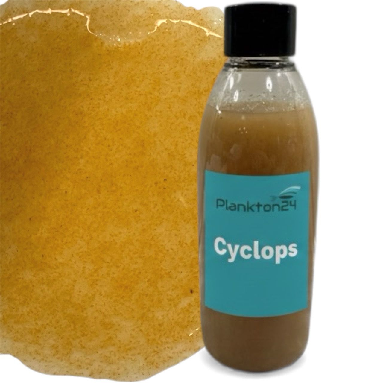 Plankton24 Cyclops - Hochwertiges Premiumfutter