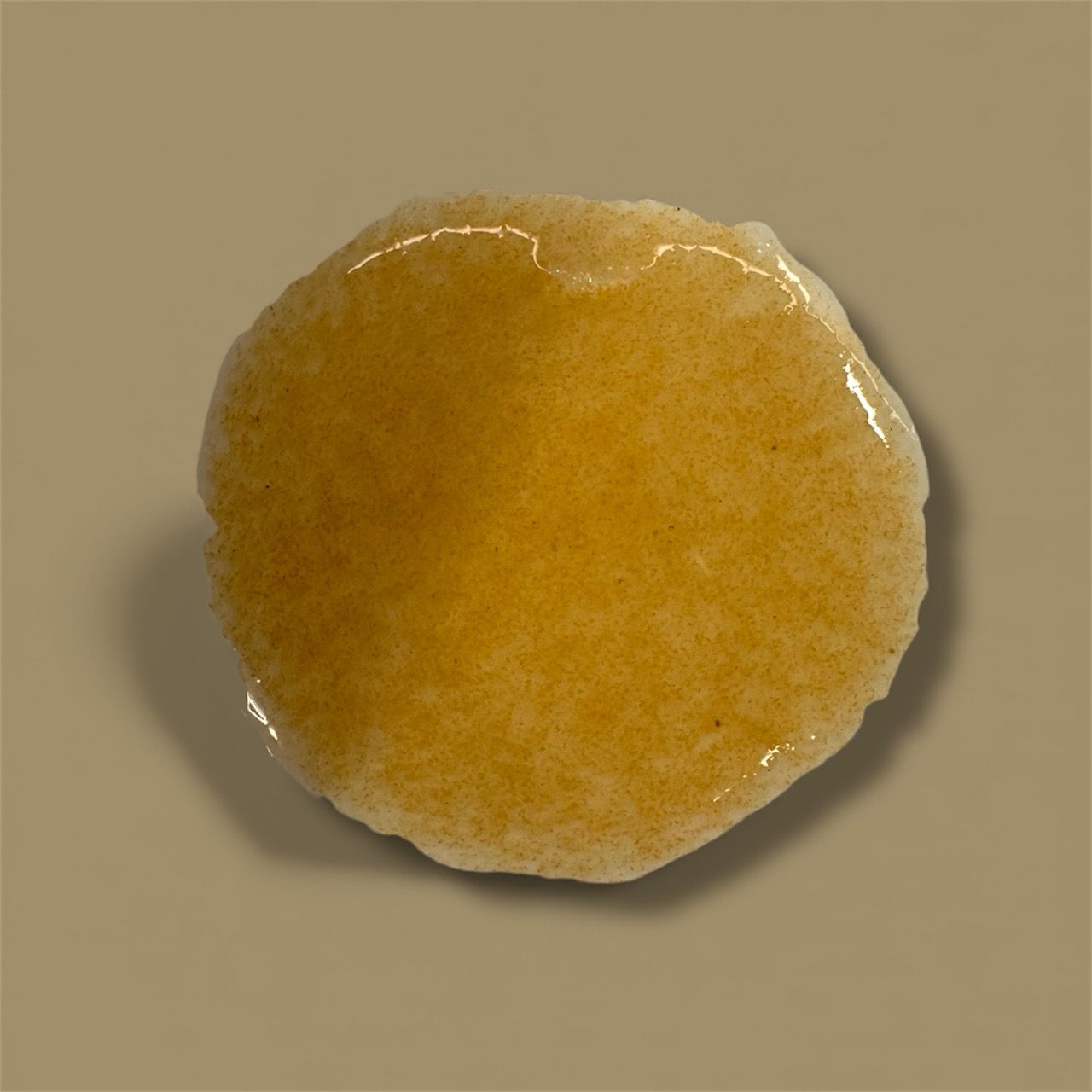 Plankton24 Cyclops - Hochwertiges Premiumfutter