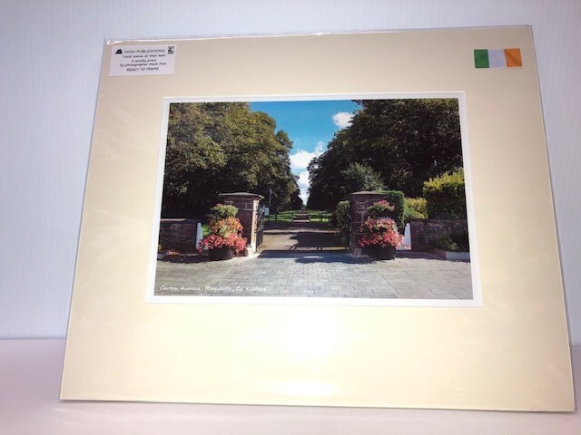Maynooth Area Prints