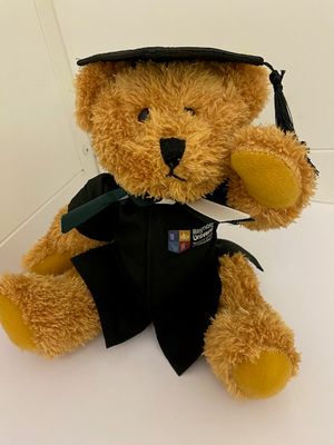 Teddy Bear