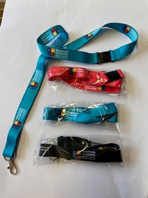Lanyard