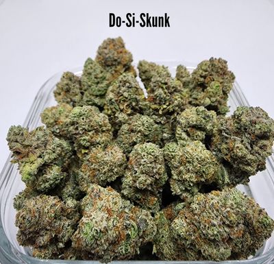 (I) Do-Si-Skunk (Indica Dominant Hybrid) THC: 24% EFFECTS: Euphoric, Relaxing 01107
