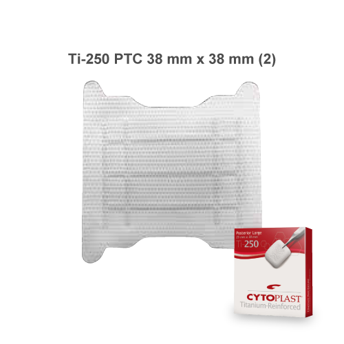 Cytoplast™ 非吸収性チタン強化メンブレン Ti-250 PTC 38 mm x 38mm（２枚入）