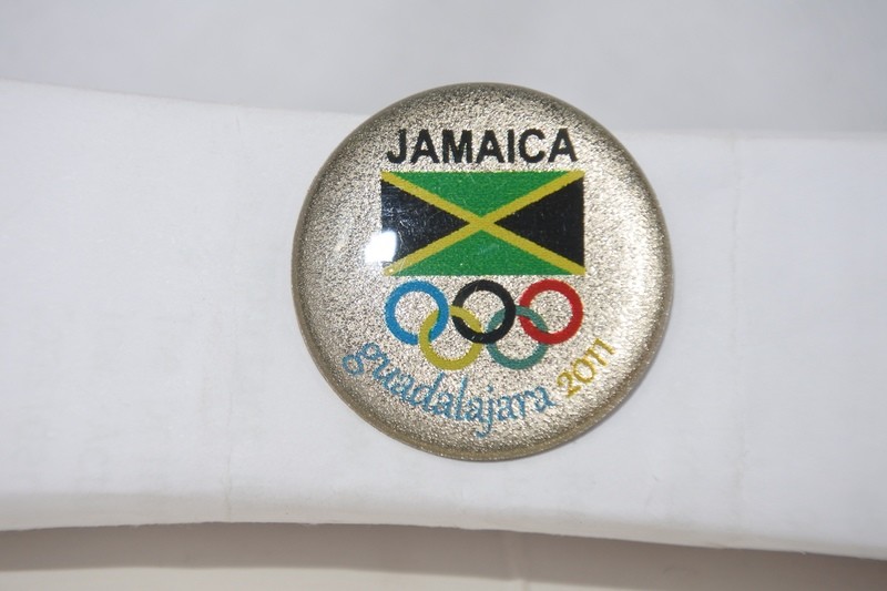2011 Pan American Games