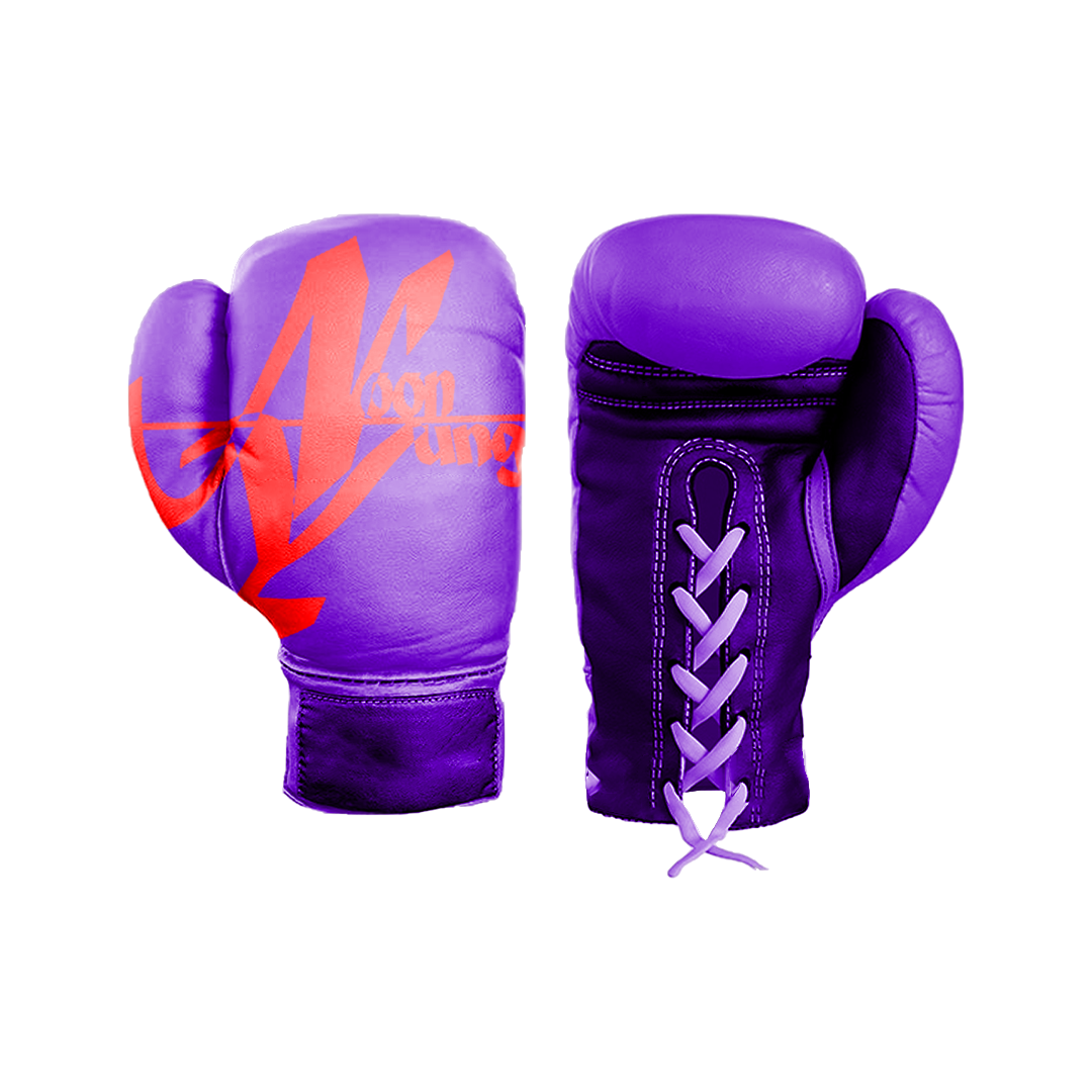 Noon Yung Boxing Gloves
