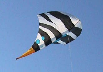 Scubadoo  SC8