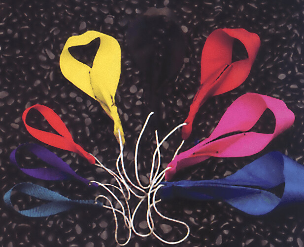 Straps Shanti kite
