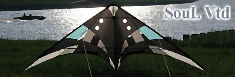 Soul Vented della Flying Wings SC5