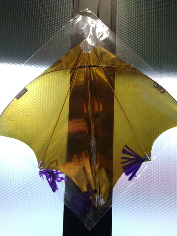 Fighter Indiano  Mylar