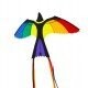 Bonny Bird  SC7