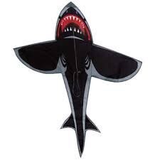 Sea Hunter 4 ft